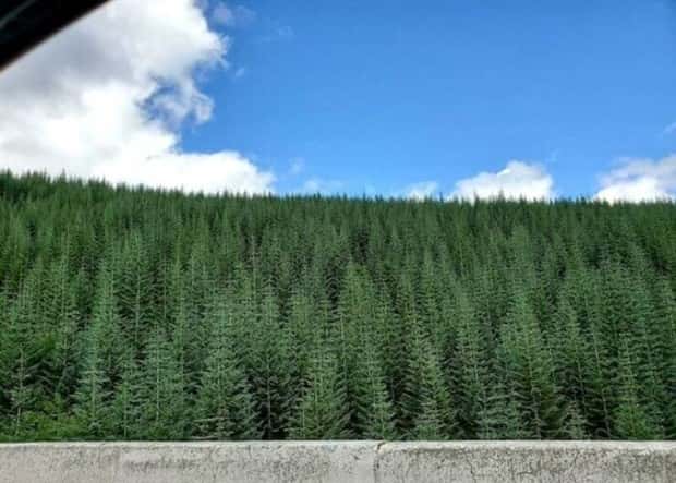 Soothing Pictures for Perfectionists #26 (21 photos)