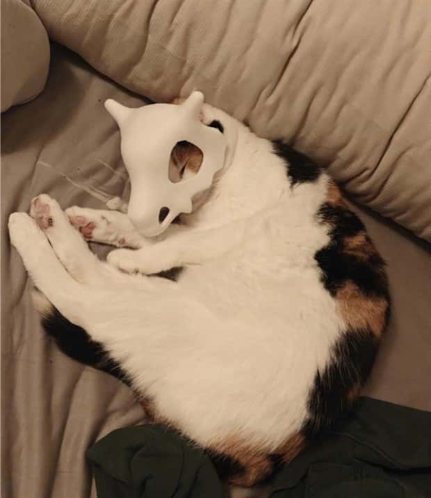 weird internet 1 Welcome to the Weird Side of the Internet #201 (23 photos)