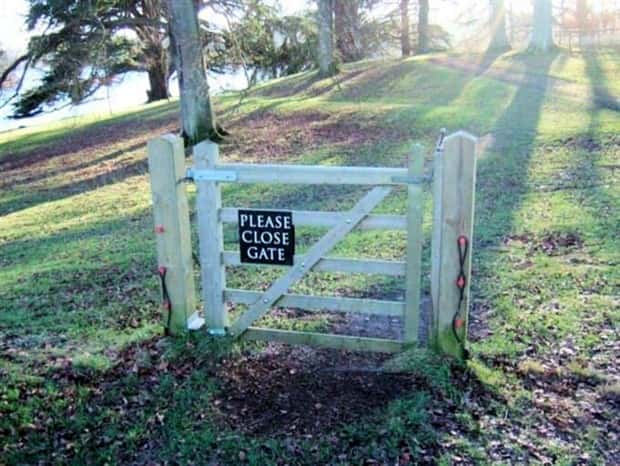 weird internet 15 Welcome to the Weird Side of the Internet #201 (23 photos)