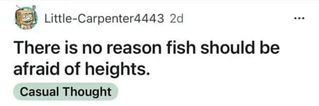 wet shower thoughts 22 Funny Shower Thoughts That Sound Smart #177 (24 photos)