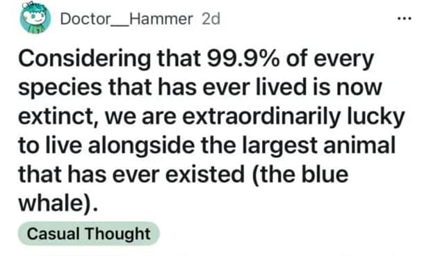 wet shower thoughts 8 Funny Shower Thoughts That Sound Smart #177 (24 photos)