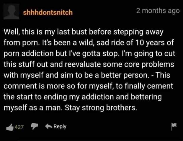 witty pornhub comments 10 Pornhub Comments That Deserve Applause (22 photos)