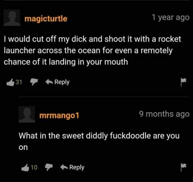 witty pornhub comments 18 Pornhub Comments That Deserve Applause (22 photos)