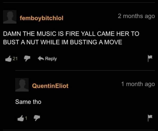 witty pornhub comments 19 Pornhub Comments That Deserve Applause (22 photos)