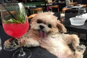 Cool Picture Parade DCCCLXXXVII