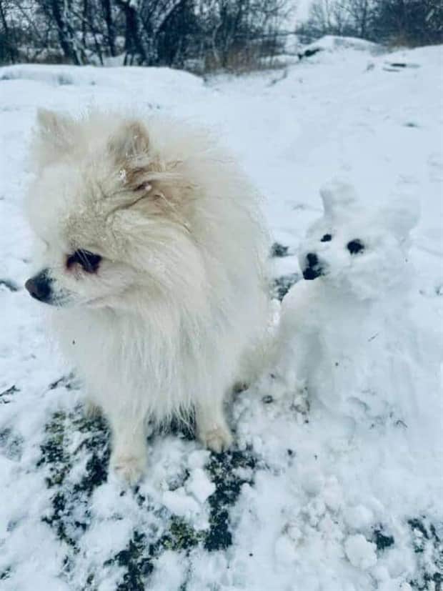 Oddly Funny Snow Creations People Made (21 photos)