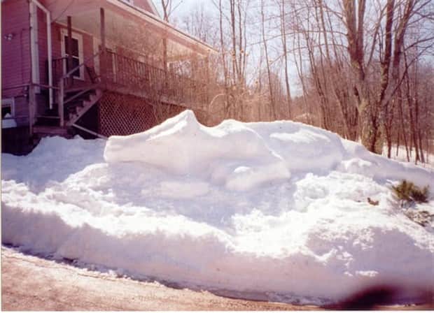 Oddly Funny Snow Creations People Made (21 photos)