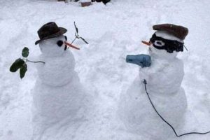 Oddly Funny Snow Creations People Made (21 photos)