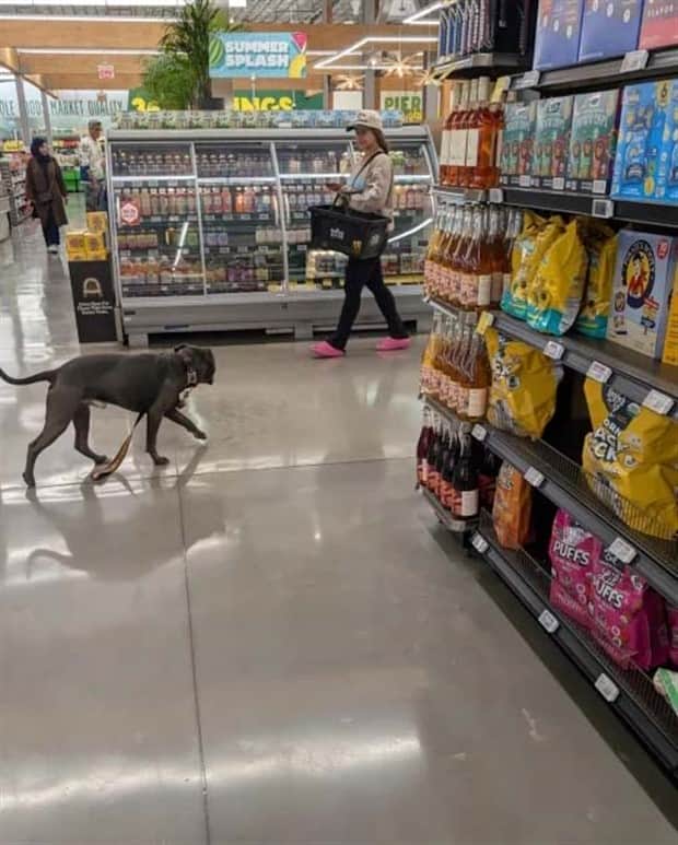 annoying situtaions 8 Annoying Little Things That Feel Too Big (20 photos)