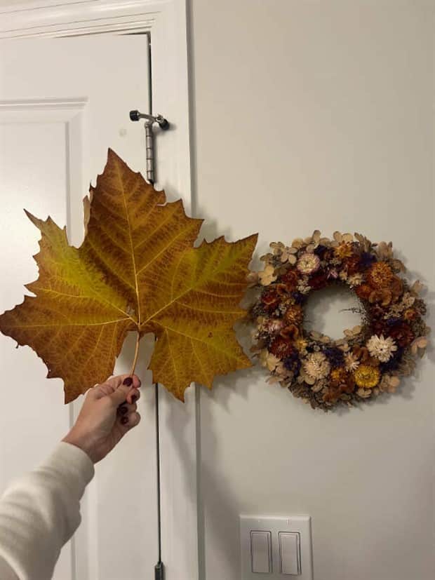 Awesome Pictures You Shouldn’t Miss #179 (17 photos)