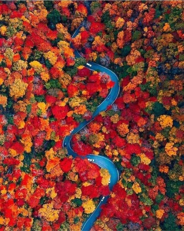 awesome photos 1 Awesome Pictures You Shouldn’t Miss #178 (18 photos)