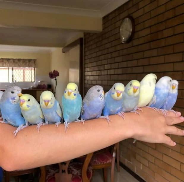 Awesome Pictures You Shouldn’t Miss #179 (17 photos)