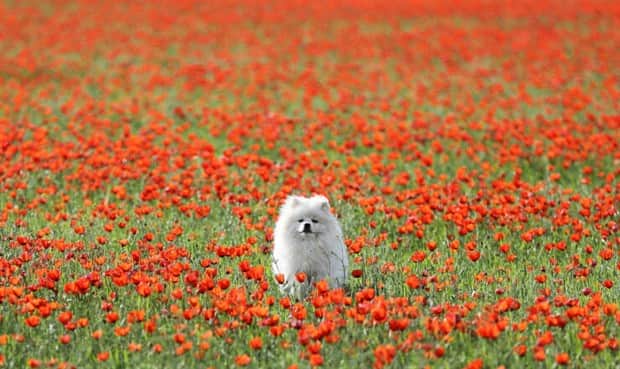 awesome photos 14 Awesome Pictures You Shouldn’t Miss #178 (18 photos)