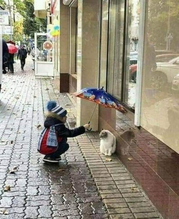 awesome photos 16 Awesome Pictures You Shouldn’t Miss #178 (18 photos)