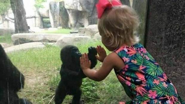 awesome photos 3 Awesome Pictures You Shouldn’t Miss #178 (18 photos)