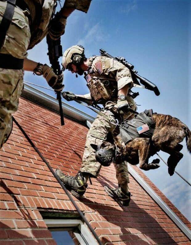 Awesome Pictures You Shouldn’t Miss #179 (17 photos)