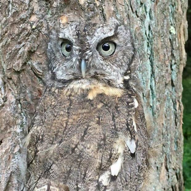 awesome photos 8 Awesome Pictures You Shouldn’t Miss #178 (18 photos)