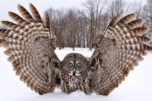 Awesome Pictures You Shouldn’t Miss #180 (20 photos)