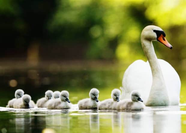 Awesome Pictures You Shouldn’t Miss #180 (20 photos)