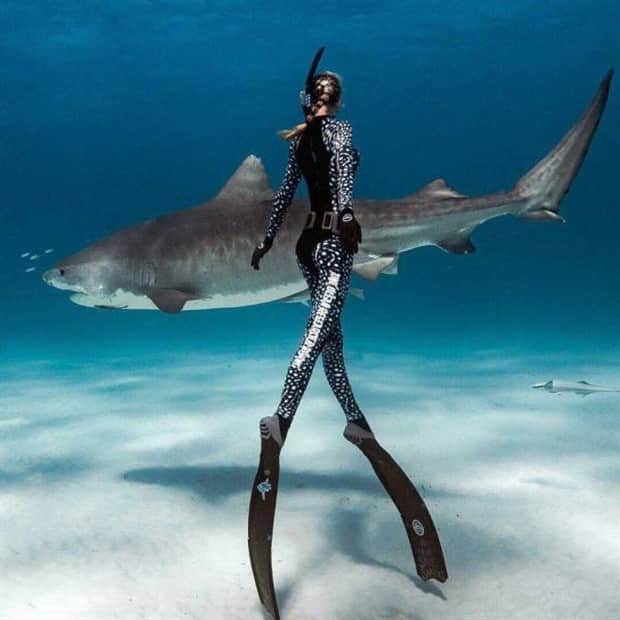 Awesome Pictures You Shouldn’t Miss #180 (20 photos)