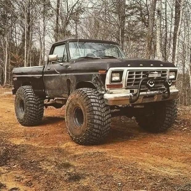Custom Trucks Built to Dominate (23 photos)