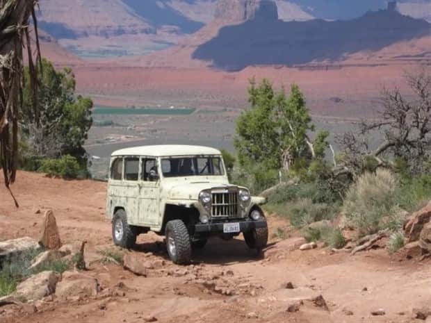 Custom Trucks Built to Dominate (23 photos)