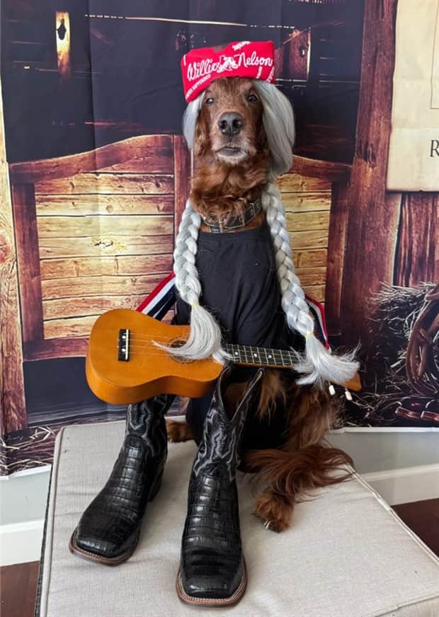 cute animals 4 Get Ready for Funny Animals #410 (19 photos)