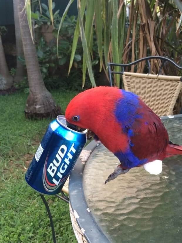 cute animals 5 Get Ready for Funny Animals #410 (19 photos)