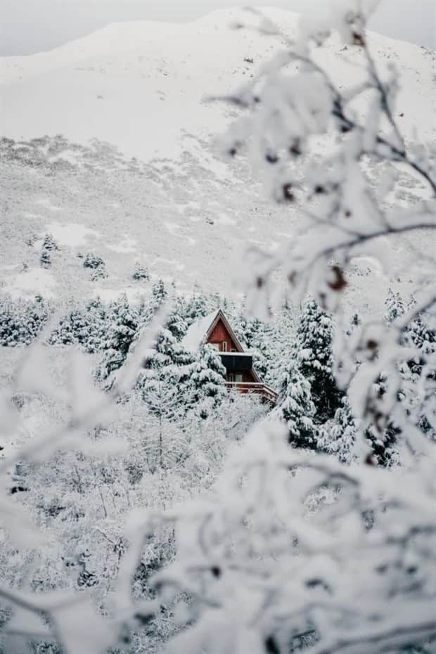 Dreamy Cabins Hidden In Forests (25 photos)