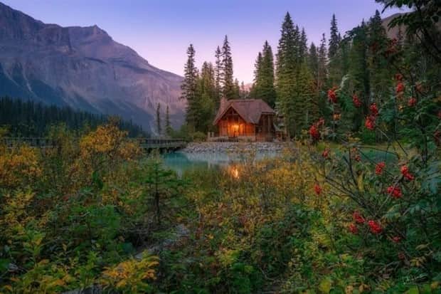Dreamy Cabins Hidden In Forests (25 photos)
