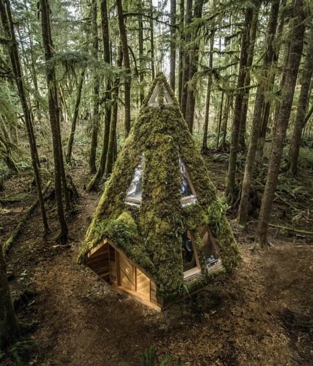 Dreamy Cabins Hidden In Forests (25 photos)