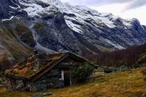 Dreamy Cabins Hidden In Forests (25 photos)