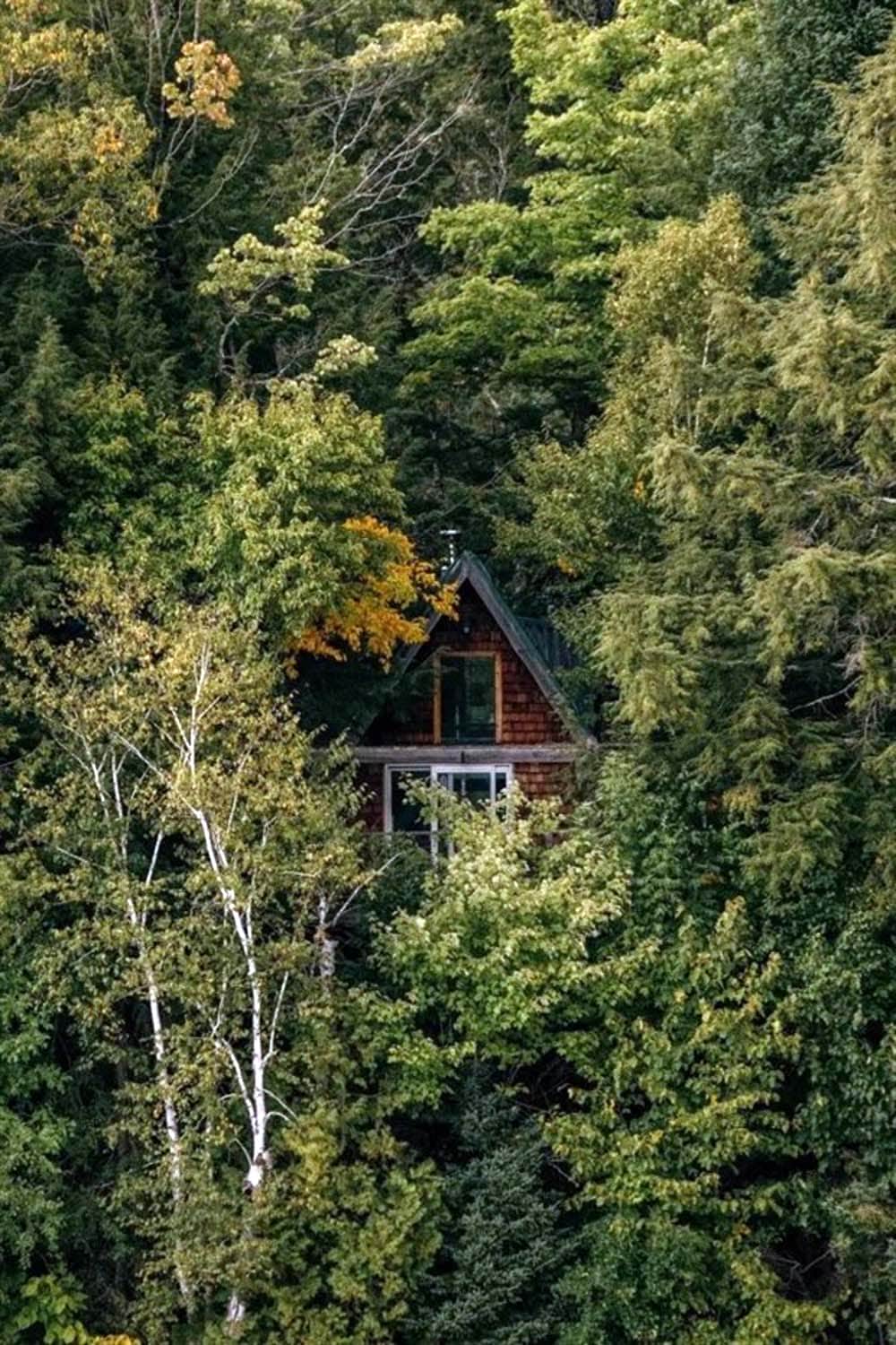 Dreamy Cabins Hidden In Forests (25 photos)
