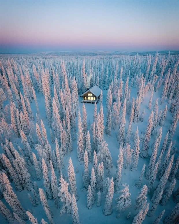 Dreamy Cabins Hidden In Forests (25 photos)