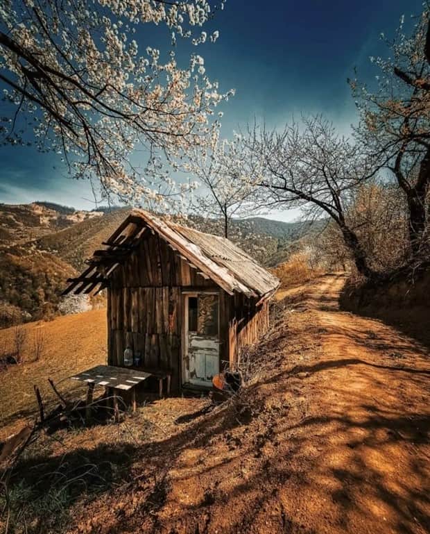 Dreamy Cabins Hidden In Forests (25 photos)