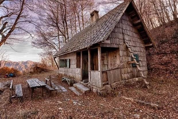 Dreamy Cabins Hidden In Forests (25 photos)