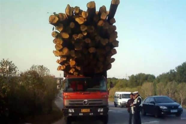 Dumb People With Big Confidence (24 photos)