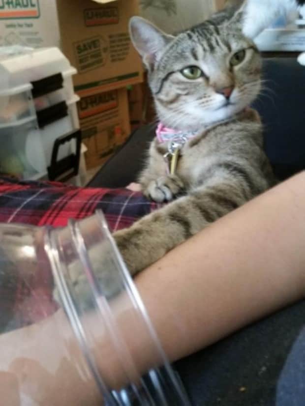 Get Ready for Funny Animals #413 (24 photos)