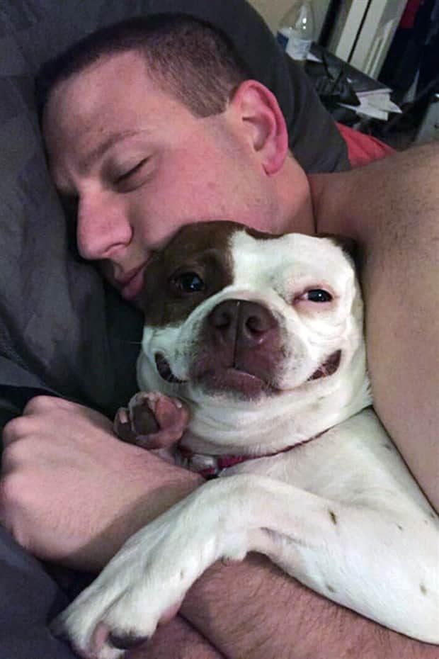 Get Ready for Funny Animals #412 (18 photos)