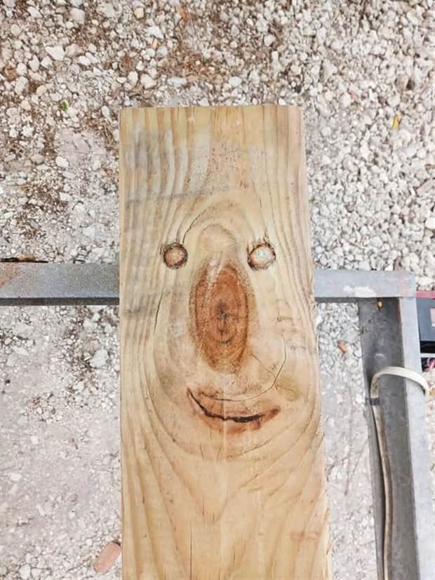 funny faces 10 There are Funny Faces Everywhere #7 (20 photos)