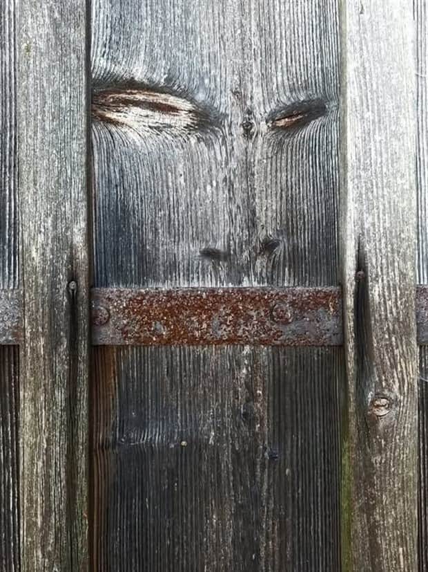 funny faces 12 There are Funny Faces Everywhere #7 (20 photos)