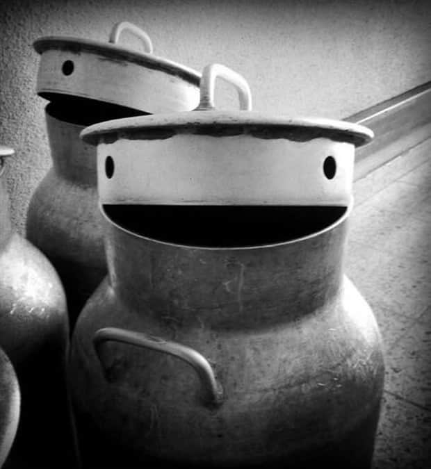 funny faces 17 There are Funny Faces Everywhere #7 (20 photos)