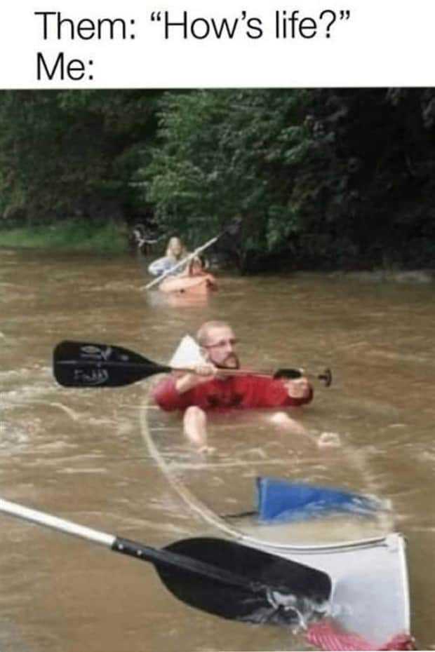 Funny Pics and Memes to Make You Laugh #183 (20 photos)