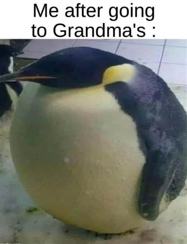 Funny Pics and Memes to Make You Laugh #183 (20 photos)