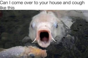 Funny Pics and Memes to Make You Laugh #181 (18 photos)