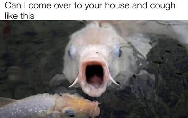 funny memes and pics 18 Funny Pics and Memes to Make You Laugh #181 (18 photos)