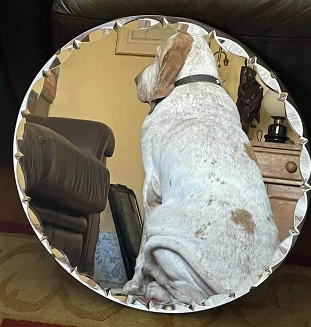 funny mirror sellers 22 Mirror Sellers Caught in Reflections (28 photos)