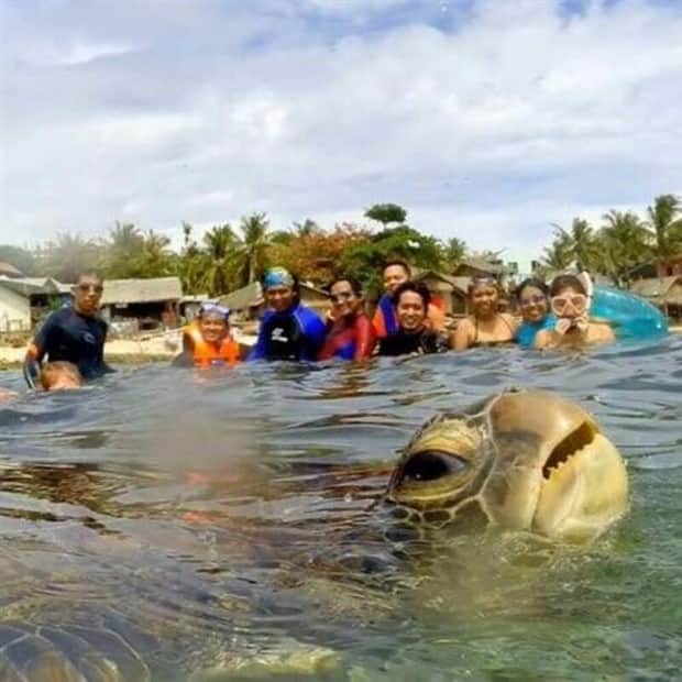 21 Funny Examples of Perfectly Timed Photobombs (21 photos)