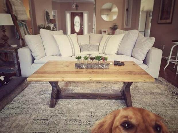 21 Funny Examples of Perfectly Timed Photobombs (21 photos)