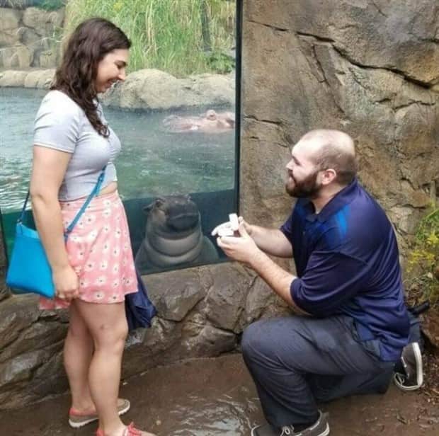 21 Funny Examples of Perfectly Timed Photobombs (21 photos)